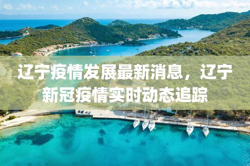 辽宁疫情发展最新消息，辽宁新冠疫情实时动态追踪