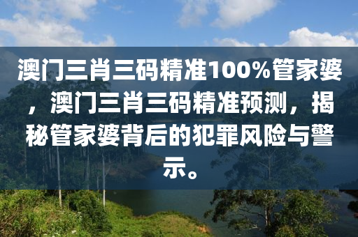 澳门三肖三码精准100%管家婆，澳门三肖三码精准预测，揭秘管家婆背后的犯罪风险与警示。