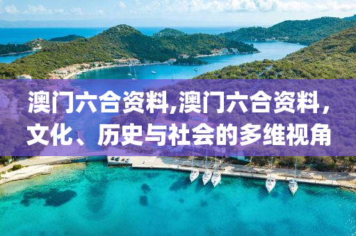 澳门六合资料,澳门六合资料，文化、历史与社会的多维视角