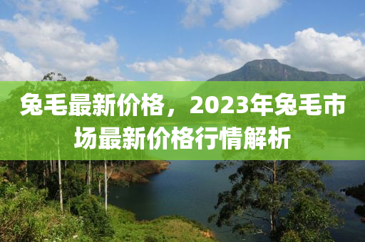 兔毛最新价格，2023年兔毛市场最新价格行情解析