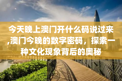 今天晚上澳门开什么码说过来,澳门今晚的数字密码，探索一种文化现象背后的奥秘