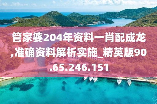 管家婆204年资料一肖配成龙,准确资料解析实施_精英版90.65.246.151