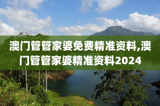 澳门管管家婆免费精准资料,澳门管管家婆精准资料2024