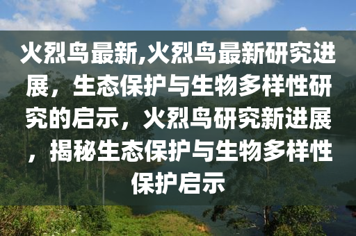 火烈鸟最新,火烈鸟最新研究进展，生态保护与生物多样性研究的启示，火烈鸟研究新进展，揭秘生态保护与生物多样性保护启示