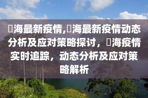 丠海最新疫情,丠海最新疫情动态分析及应对策略探讨，丠海疫情实时追踪，动态分析及应对策略解析