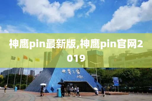 神鹰pin最新版,神鹰pin官网2019