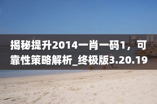 揭秘提升2014一肖一码1，可靠性策略解析_终极版3.20.19