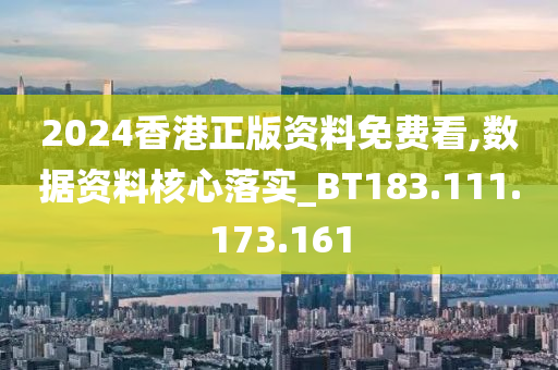 2024香港正版资料免费看,数据资料核心落实_BT183.111.173.161