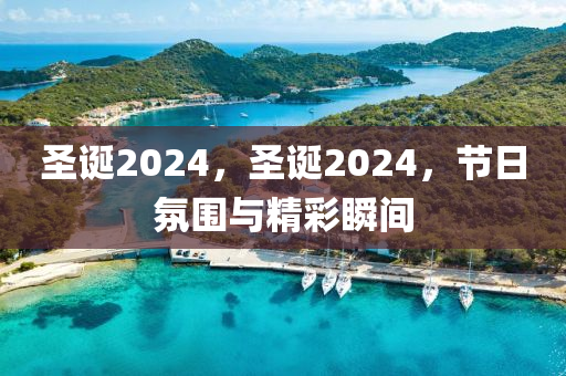 圣诞2024，圣诞2024，节日氛围与精彩瞬间