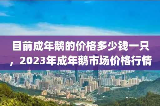 目前成年鹅的价格多少钱一只，2023年成年鹅市场价格行情