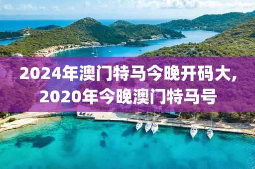 2024年澳门特马今晚开码大,2020年今晚澳门特马号