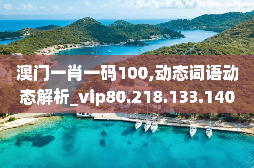 澳门一肖一码100,动态词语动态解析_vip80.218.133.140