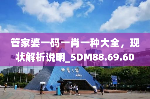 管家婆一码一肖一种大全，现状解析说明_5DM88.69.60