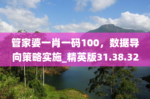 管家婆一肖一码100，数据导向策略实施_精英版31.38.32