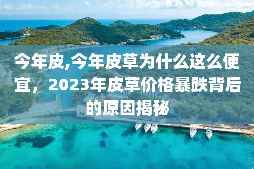 今年皮,今年皮草为什么这么便宜，2023年皮草价格暴跌背后的原因揭秘