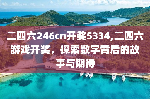 二四六246cn开奖5334,二四六游戏开奖，探索数字背后的故事与期待