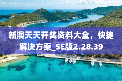 新澳天天开奖资料大全，快捷解决方案_SE版2.28.39