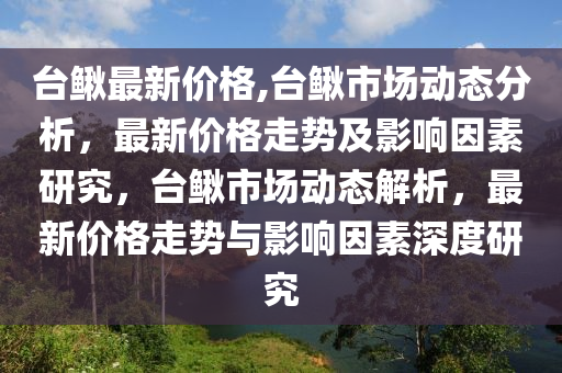 台鳅最新价格,台鳅市场动态分析，最新价格走势及影响因素研究，台鳅市场动态解析，最新价格走势与影响因素深度研究