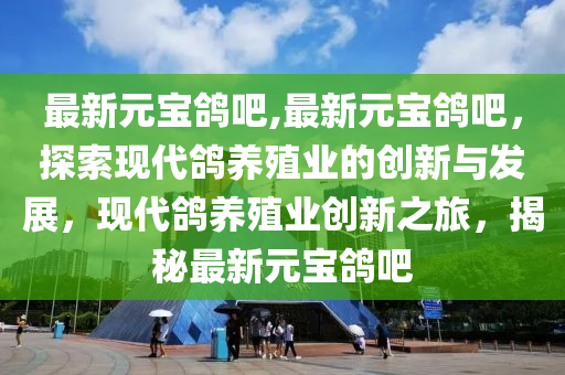 最新元宝鸽吧,最新元宝鸽吧，探索现代鸽养殖业的创新与发展，现代鸽养殖业创新之旅，揭秘最新元宝鸽吧