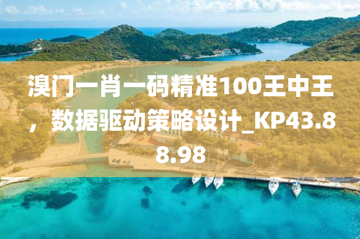 溴门一肖一码精准100王中王，数据驱动策略设计_KP43.88.98