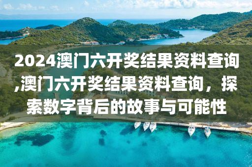 2024澳门六开奖结果资料查询,澳门六开奖结果资料查询，探索数字背后的故事与可能性