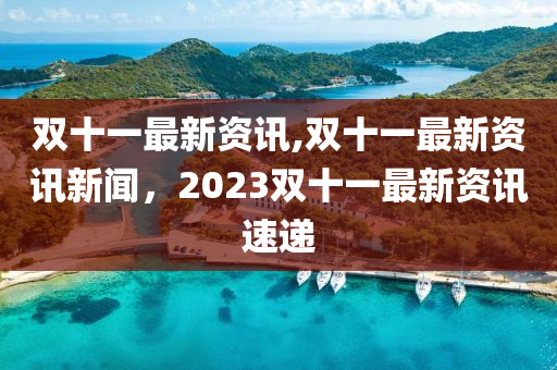 双十一最新资讯,双十一最新资讯新闻，2023双十一最新资讯速递