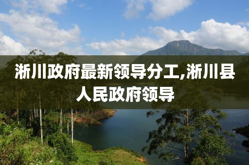 淅川政府最新领导分工,淅川县人民政府领导