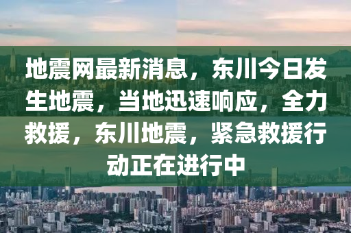 地震网最新消息，东川今日发生地震，当地迅速响应，全力救援，东川地震，紧急救援行动正在进行中