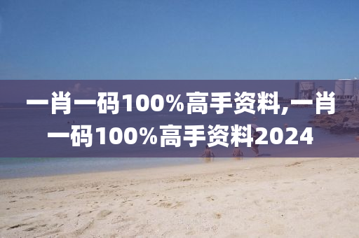 一肖一码100%高手资料,一肖一码100%高手资料2024