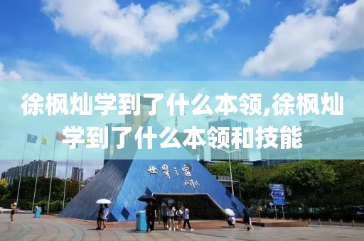 徐枫灿学到了什么本领,徐枫灿学到了什么本领和技能