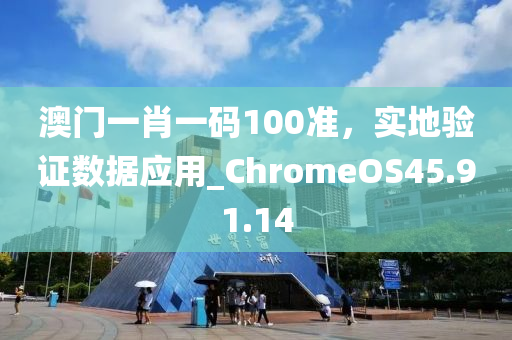 澳门一肖一码100准，实地验证数据应用_ChromeOS45.91.14