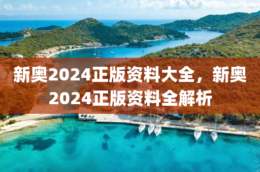 新奥2024正版资料大全