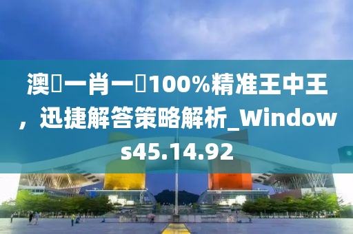 澳門一肖一碼100%精准王中王，迅捷解答策略解析_Windows45.14.92