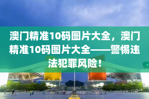 澳门精准10码图片大全，澳门精准10码图片大全——警惕违法犯罪风险！