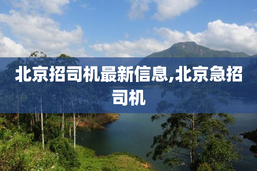 北京招司机最新信息,北京急招司机