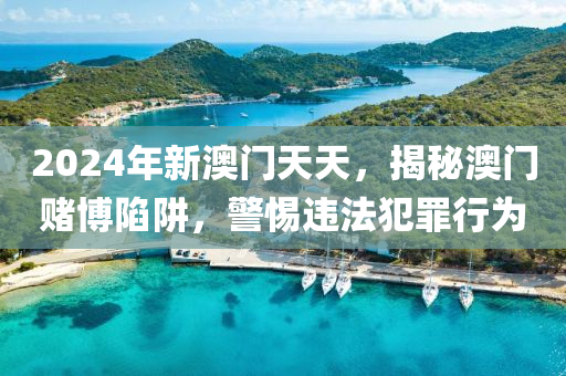 2024年新澳门天天，揭秘澳门赌博陷阱，警惕违法犯罪行为