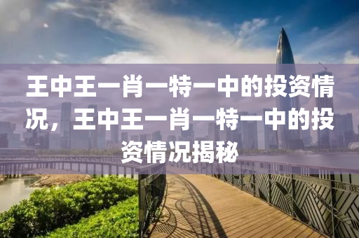 王中王一肖一特一中的投资情况，王中王一肖一特一中的投资情况揭秘