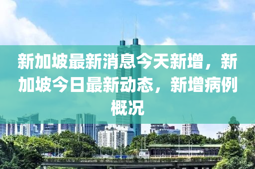 新加坡最新消息今天新增，新加坡今日最新动态，新增病例概况