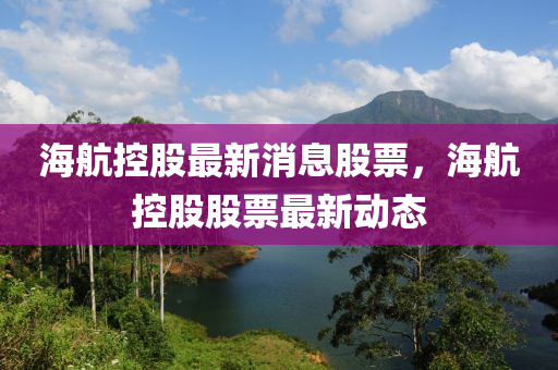 海航控股最新消息股票，海航控股股票最新动态