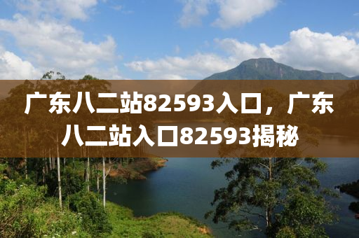 广东八二站82593入口，广东八二站入口82593揭秘