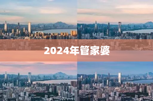 2024年管家婆