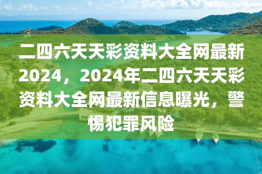 二四六天天彩资料大全网最新2024，2024年二四六天天彩资料大全网最新信息曝光，警惕犯罪风险