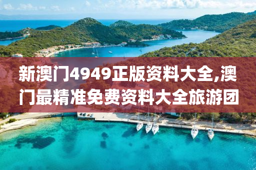 新澳门4949正版资料大全,澳门最精准免费资料大全旅游团