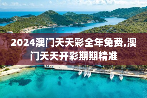 2024澳门天天彩全年免费,澳门天天开彩期期精准