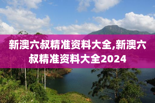 新澳六叔精准资料大全,新澳六叔精准资料大全2024