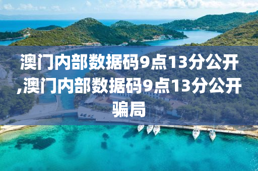 澳门内部数据码9点13分公开