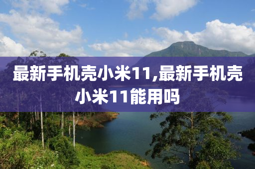 最新手机壳小米11,最新手机壳小米11能用吗