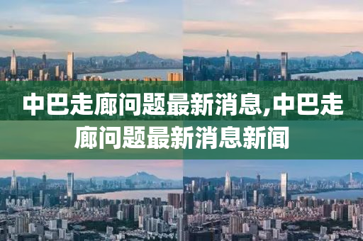 中巴走廊问题最新消息,中巴走廊问题最新消息新闻