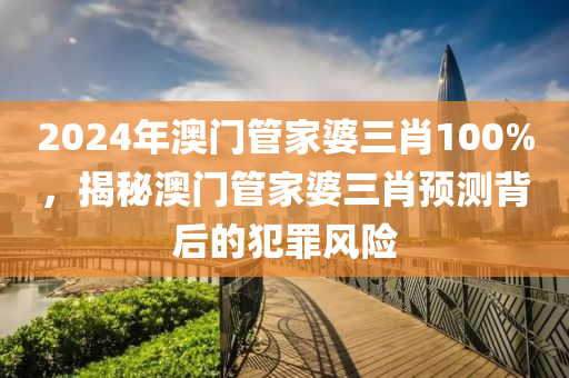 2024年澳门管家婆三肖100%，揭秘澳门管家婆三肖预测背后的犯罪风险