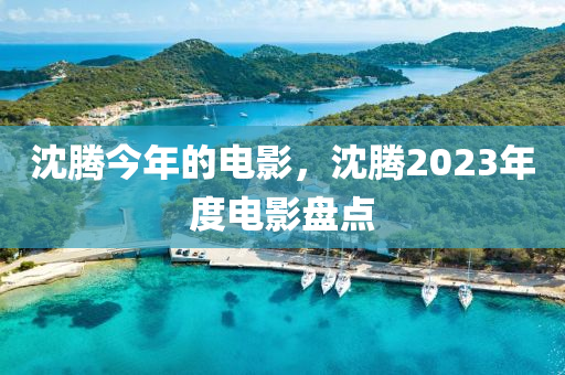 沈腾今年的电影，沈腾2023年度电影盘点